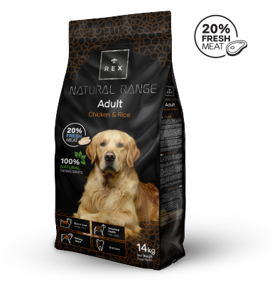 04 adult Adult - Perros