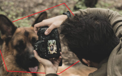 Fotografiar a tu mascota como un profesional no es misión imposible