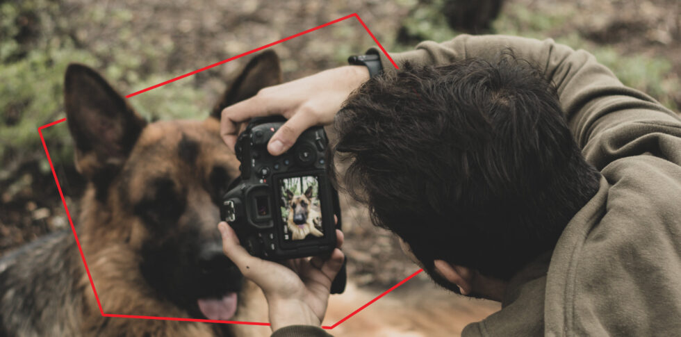 Fotografiar a tu mascota como un profesional no es misión imposible