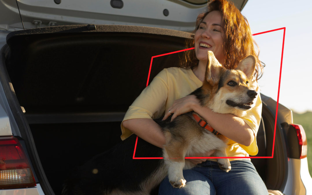 Viajar con mascotas, ¿Cómo planificar el transporte durante tus vacaciones?